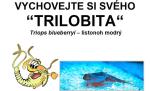 e-shop zdarma